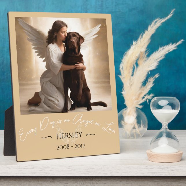 Placa Expositora Homenaje a pérdida de Ilustracion Angel de Chocola (Lado)