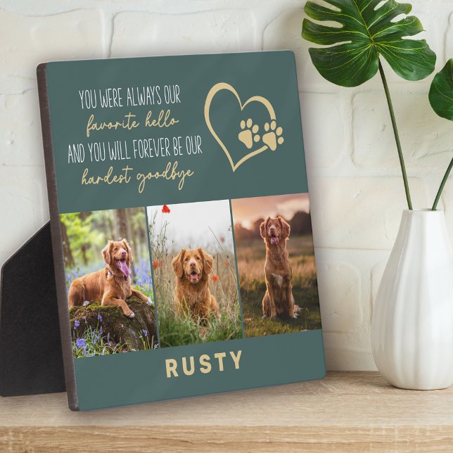 Placa Expositora Homenaje favorito de Mascota de Adios Difícil (Subido por el creador)