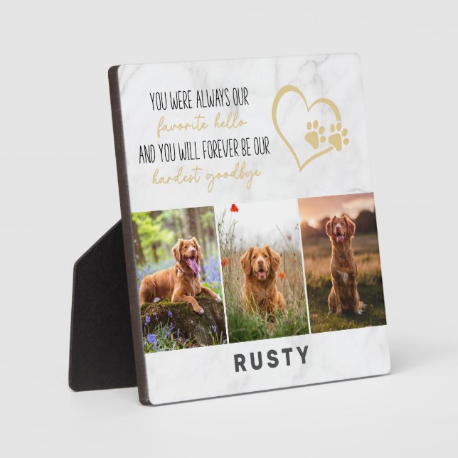 Placa Expositora Homenaje favorito de Mascota de Adios Difícil (Anverso)