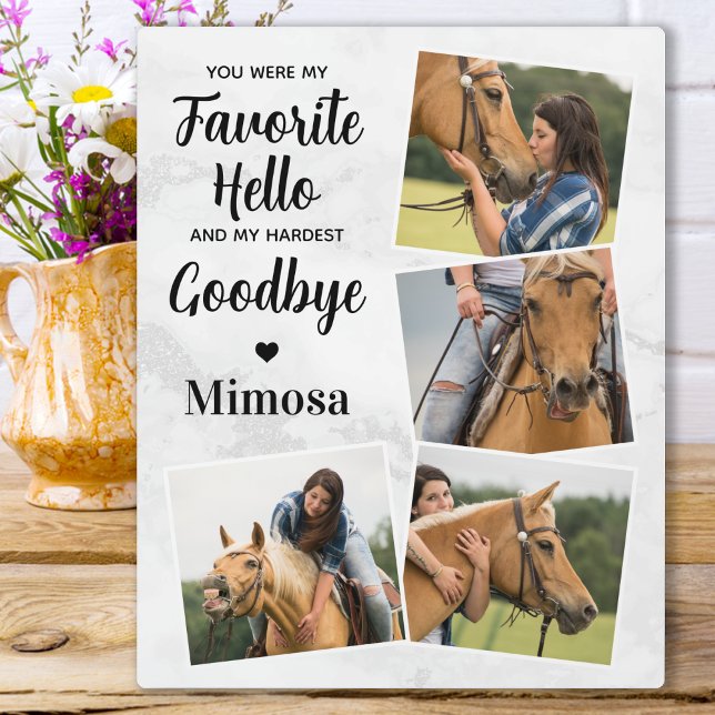 Placa Expositora Homenaje favorito de Mascota Personalizado de Adió (Subido por el creador)