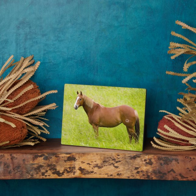 Placa Expositora Horse in Spring Field (Lado)