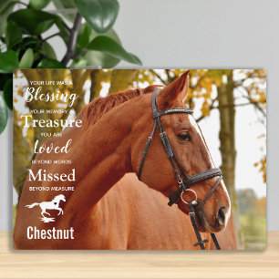 Placa Expositora Horse Memorial Pet Loss Remembrance Horse Photo