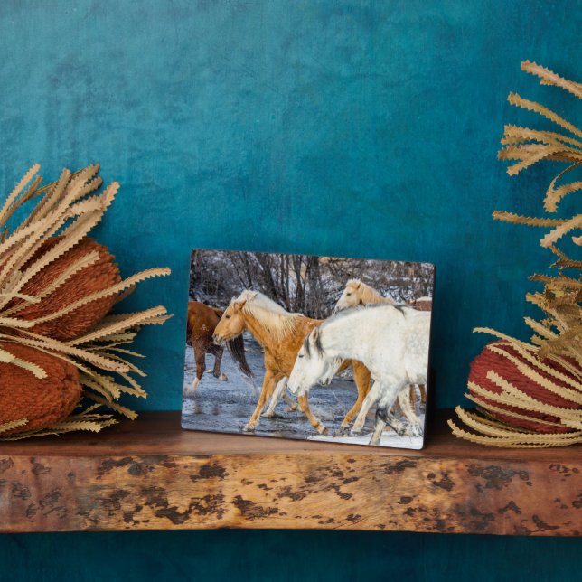 Placa Expositora Horses Crossing the Stream (Lado)