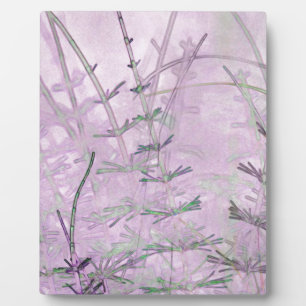 Placa Expositora Horsetail Grass/Stems