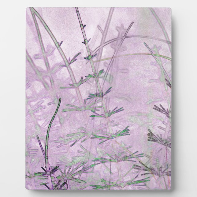 Placa Expositora Horsetail Grass/Stems (Frente)