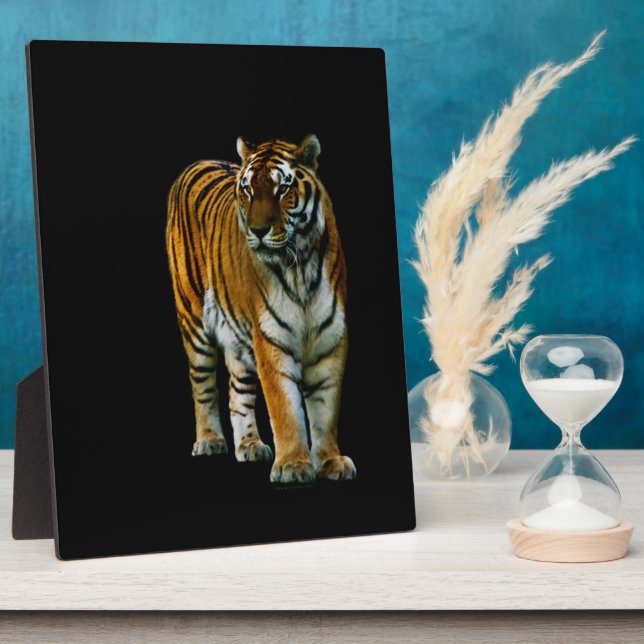 Placa Expositora Hu Lin Plaque (Lado)