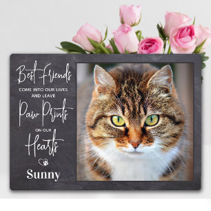 Placa Expositora Huella Personalizada de Recuerdo de Mascota Gatos 