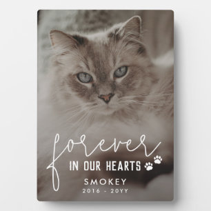 Placa Expositora Huellas de gato para siempre en nuestros corazones