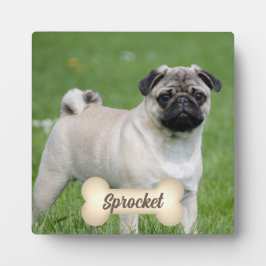 Placa Expositora Hueso de tono crema con nombre y foto de Mascota