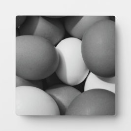 Placa Expositora Huevos de Gallina en Blanco y Negro