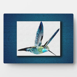 Placa Expositora Hummingbird