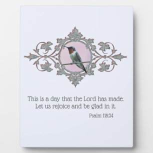 Placa Expositora Hummingbird