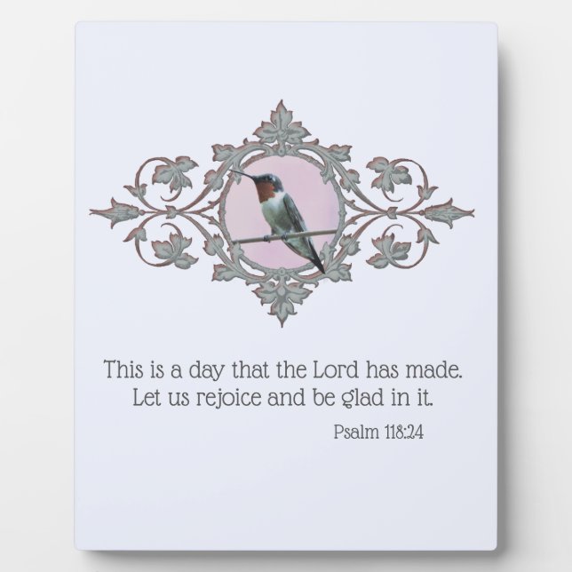 Placa Expositora Hummingbird (Frente)