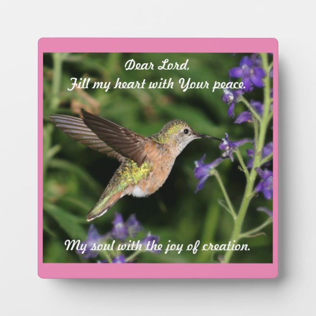 Placa Expositora Hummingbird Tabletop Plaque con Easel (Frente)