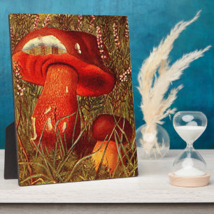 Placa Expositora Humongous Fungus Amongus - Vintage Boletus Luridus