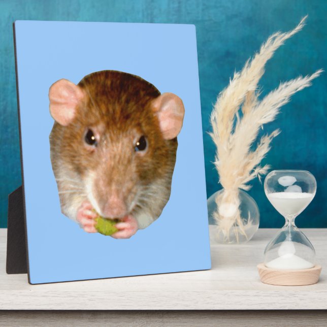 Placa Expositora Hungry Rat Plaque (Lado)