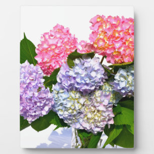 Placa Expositora Hydrangea Bouquet