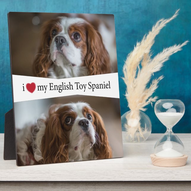 Placa Expositora I Heart My English Toy Spaniel (Lado)