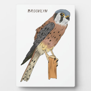 Placa Expositora Ilustracion americano de aves de Kestrel