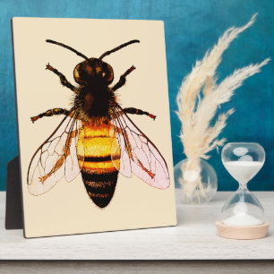 Placa Expositora Ilustración de Arte Realista de Abejas Melíferas
