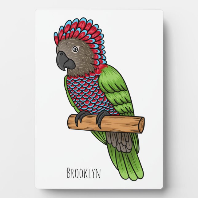 Placa Expositora Ilustracion de personalizado de aves de loro con c (Frente)