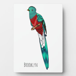 Placa Expositora Ilustracion de personalizado de aves quetzales res