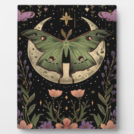 Placa Expositora Ilustración gótica del cielo nocturno