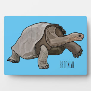 Placa Expositora Ilustracion personalizado de tortugas de Galápagos