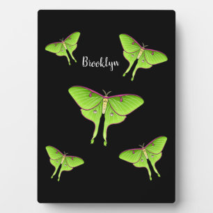 Placa Expositora Ilustracion personalizado Luna Moth