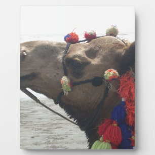 Placa Expositora Impresión de imagen de camello de Mascate en Omán