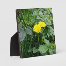 Impresión de lienzo estirado