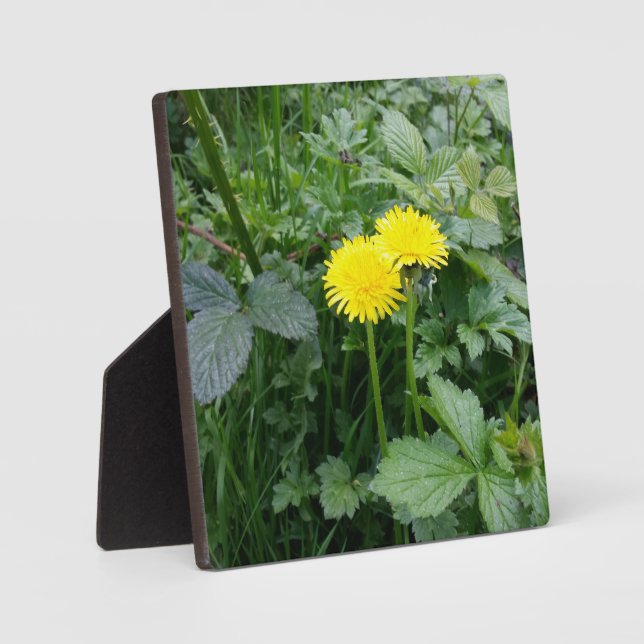 Placa Expositora Impresión de lienzo estirado (Anverso)