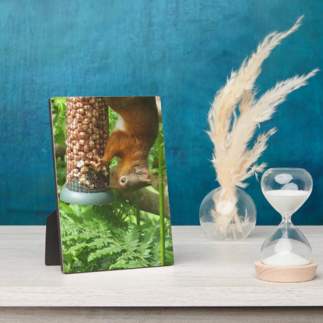 Placa Expositora Impresión decorativa de la ardilla boca abajo. (Lado)
