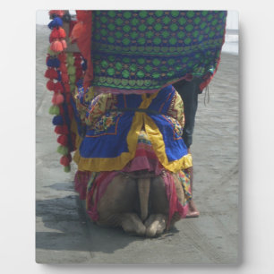 Placa Expositora Impresión/gráfico de arte capilar caprichoso