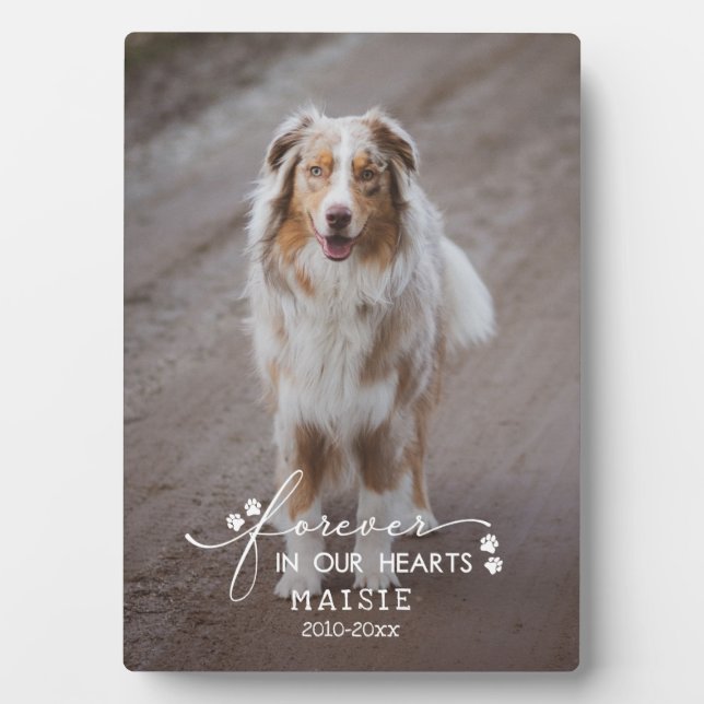 Placa Expositora Impresiones De Paw Para Siempre En La Foto Mascota (Frente)