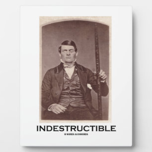 Placa Expositora Indestructible (Gálibo Phineas)