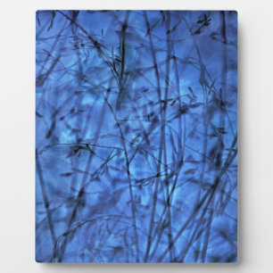 Placa Expositora Indigo Plantscape