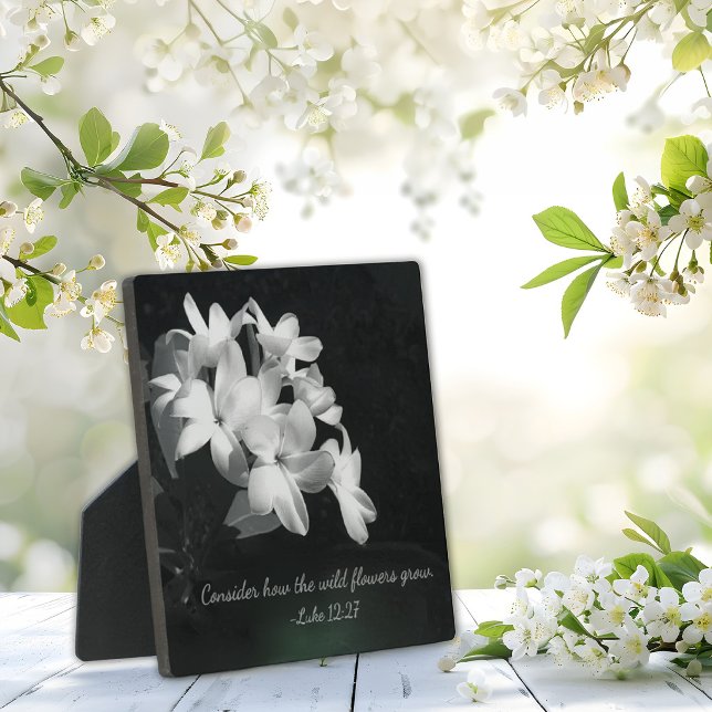 Placa Expositora Inspirational Bible Verse (Subido por el creador)