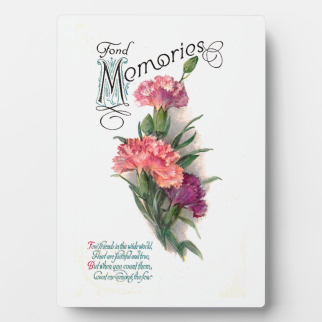 Placa Expositora Intento Y Verdadero Amigo (Frente)