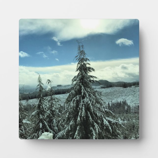 Placa Expositora Invierno en el bosque estatal de Tillamook, Oregón (Frente)