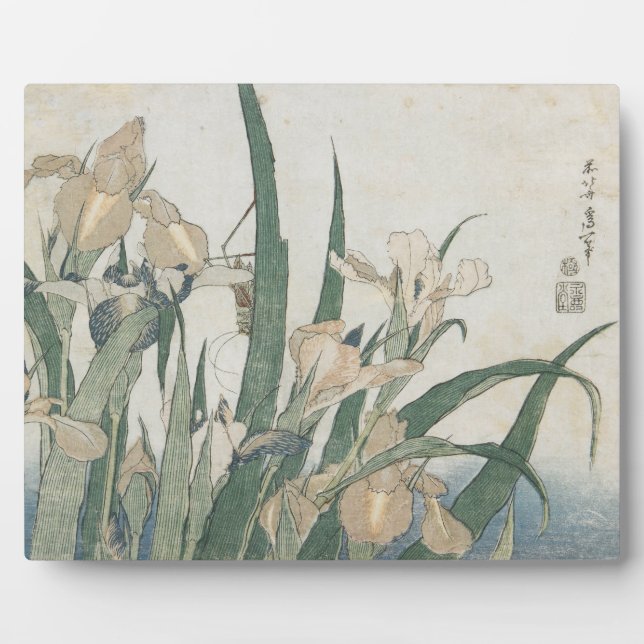 Placa Expositora Iris Flowers and Grasshopper, c.1830-31 (Frente)
