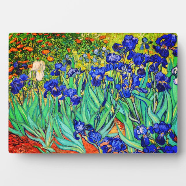 Placa Expositora Irises de Vincent Van Gogh (Frente)