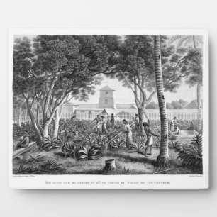 Placa Expositora Isla de Guam: Nativos trabajando en el Jardín de l