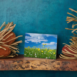 Placa Expositora isla de Sudamérica   Escocia