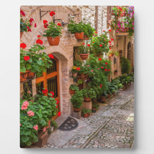 Placa Expositora Italia, Toscana