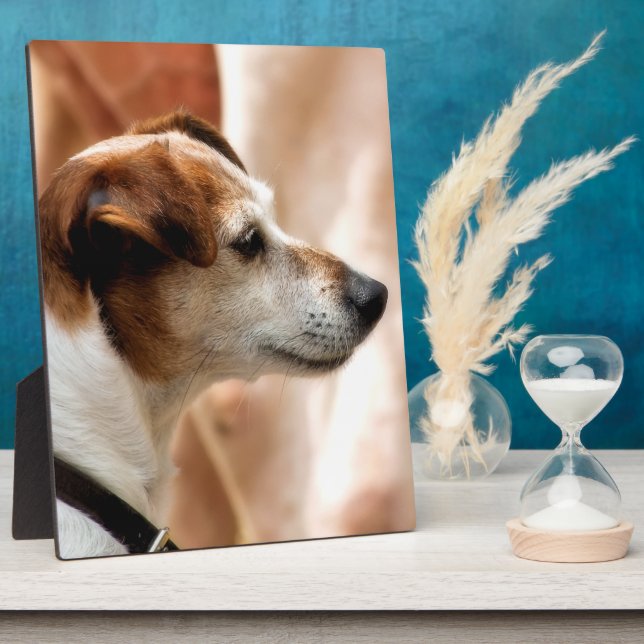 PLACA EXPOSITORA JACK RUSSELL TERRIER DOG (Lado)