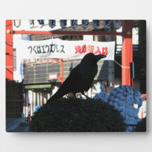 Placa Expositora Japanese Crow