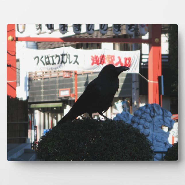 Placa Expositora Japanese Crow (Frente)