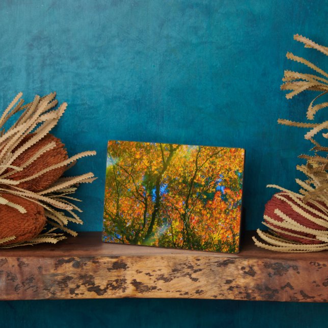 Placa Expositora Jardín Botánico VanDusen Vancouver, Canadá (Lado)