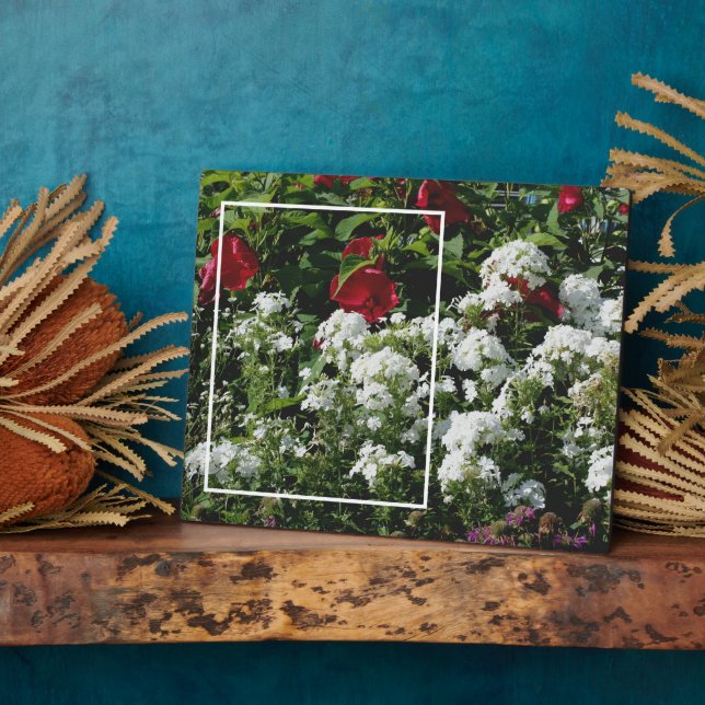 Placa Expositora Jardín de flores de White Phlox Añade tu propia fo (Lado)